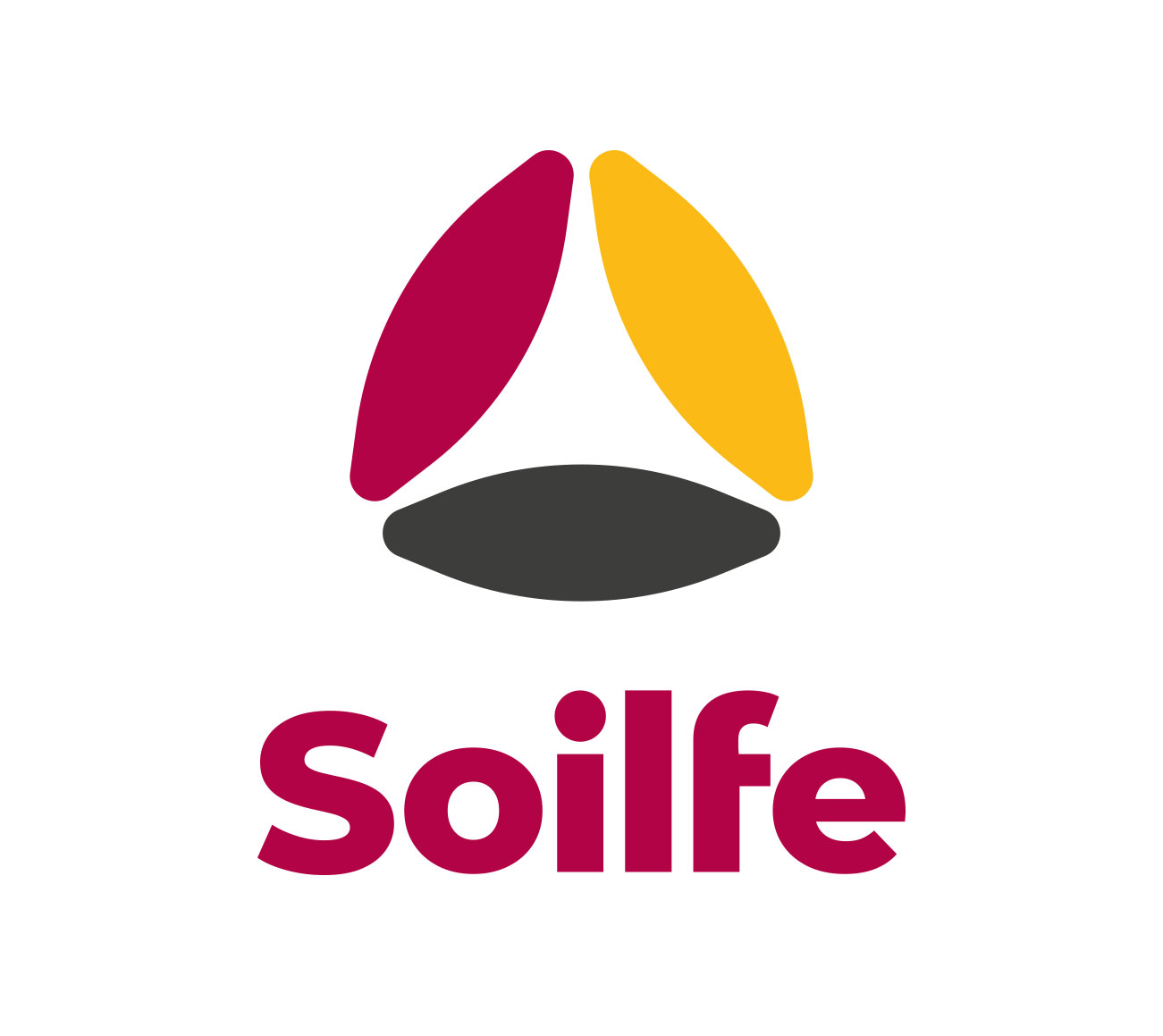 solfie
